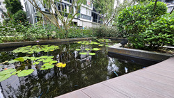 La Fiesta (D19), Condominium #478788251